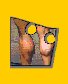 Calf