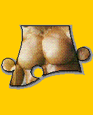 Chest